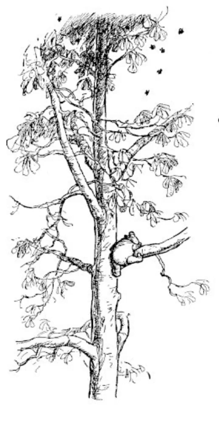 E. H. Shepard illustration of Winnie-the-Pooh from Chapter I