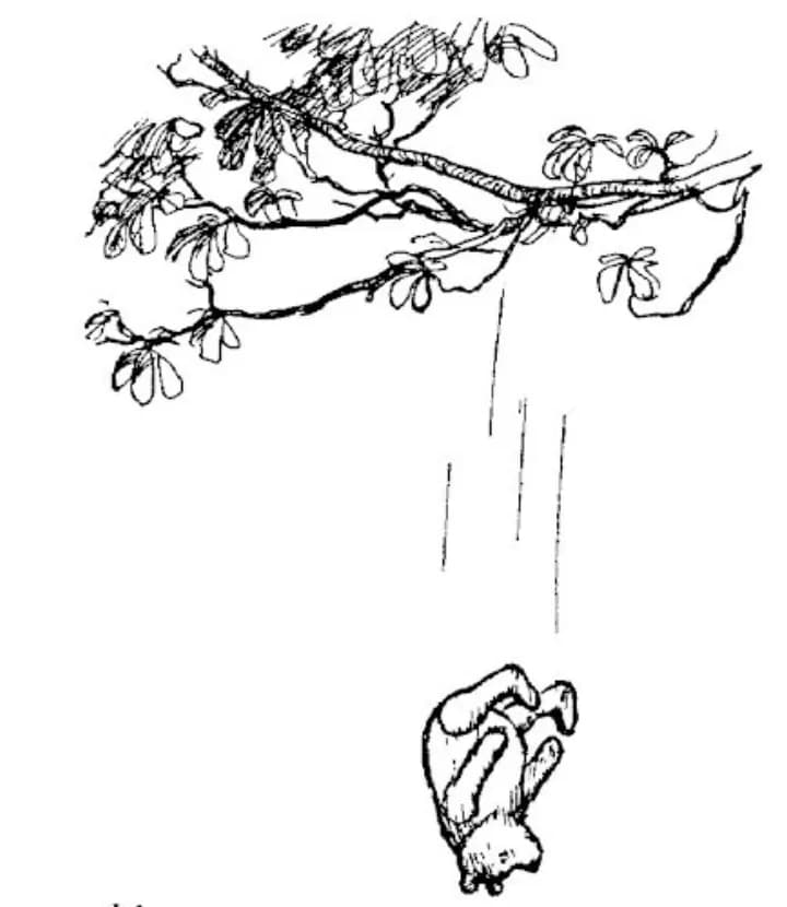 E. H. Shepard illustration of Winnie-the-Pooh from Chapter I