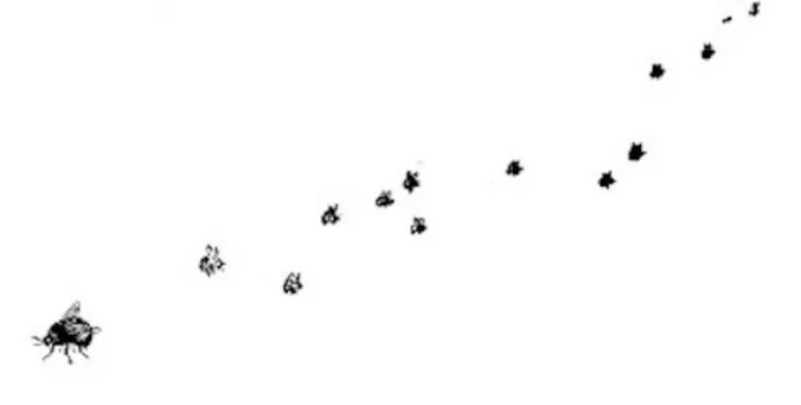 E. H. Shepard illustration of Winnie-the-Pooh from Chapter I