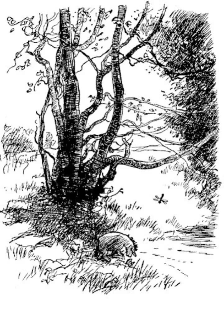 E. H. Shepard illustration of Owl and Eeyore from Chapter VI