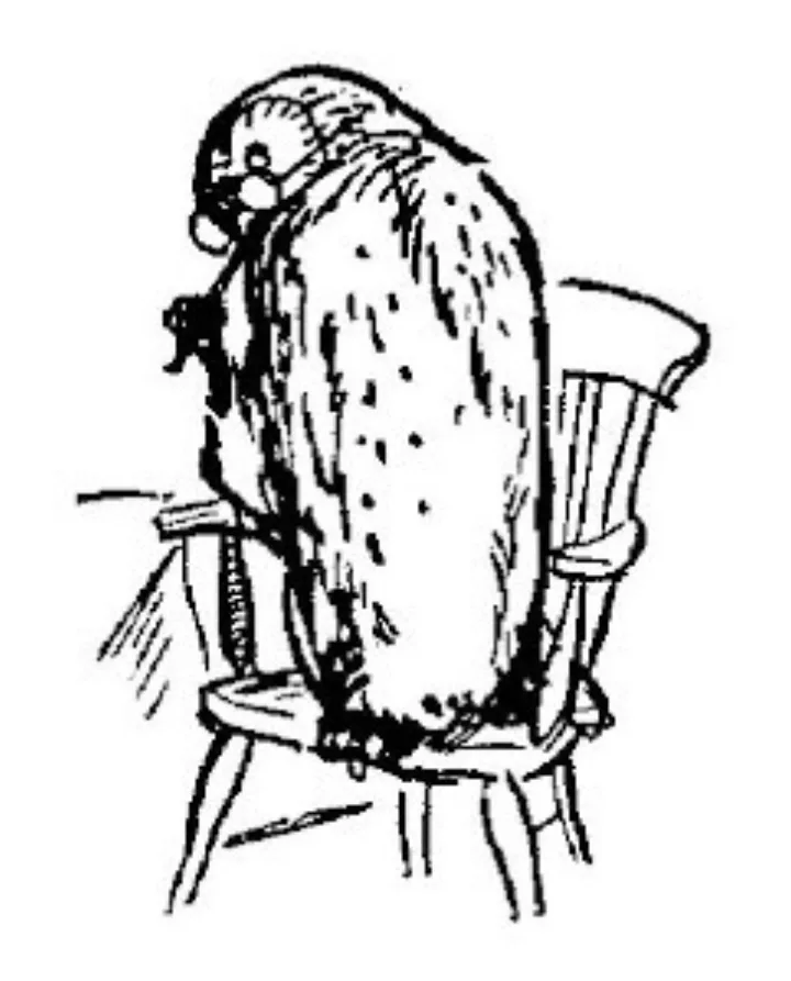 E. H. Shepard illustration of Owl with Christopher Robin and Eeyore from Chapter VI