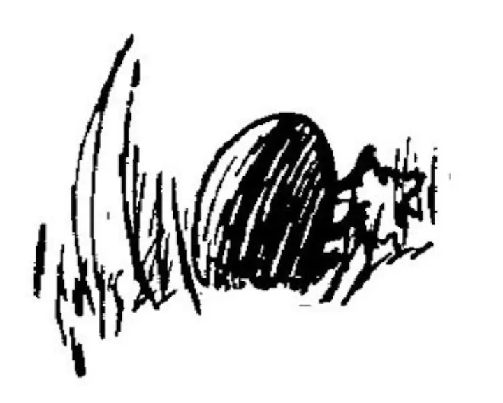 E. H. Shepard illustration of Christopher Robin from Chapter VIII