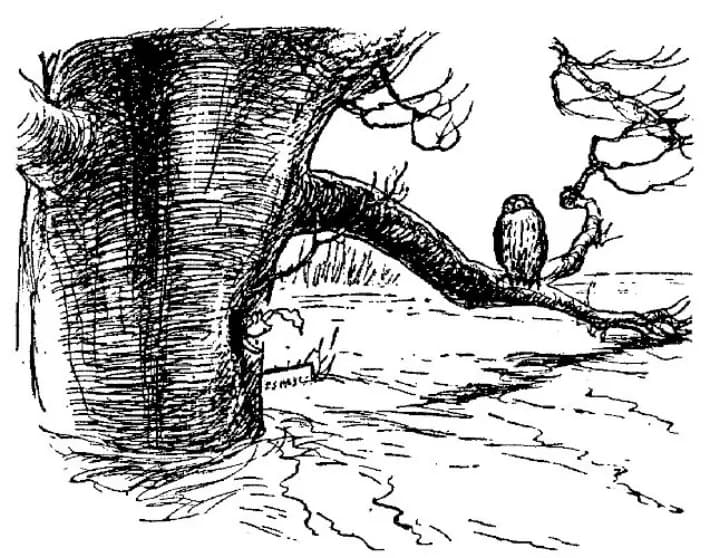 E. H. Shepard illustration of Christopher Robin with Winnie-the-Pooh and Piglet from Chapter IX