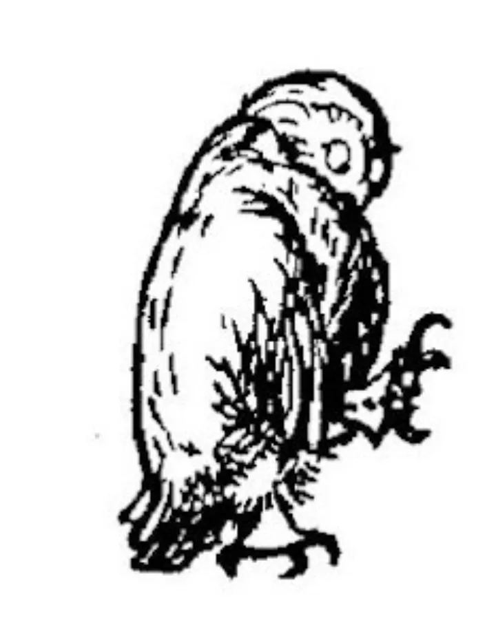 E. H. Shepard illustration of Owl with Christopher Robin, Winnie-the-Pooh and Eeyore from Chapter X